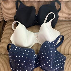 Cacique lightly lined T-shirt Black and White Bras Intimates Collection